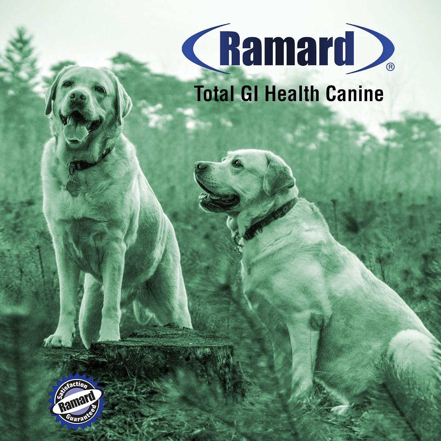 Ramard Total GI Canine Health Soft Chews, 45 unidades