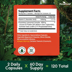 ForestLeaf Vitamina C Liposomal 1400 mg - 120 Cápsulas Veganas