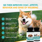 AminAvast Kidney Support - Suplemento para apoyo renal en perros (1000 mg, Pack de 3, 60 cápsulas)