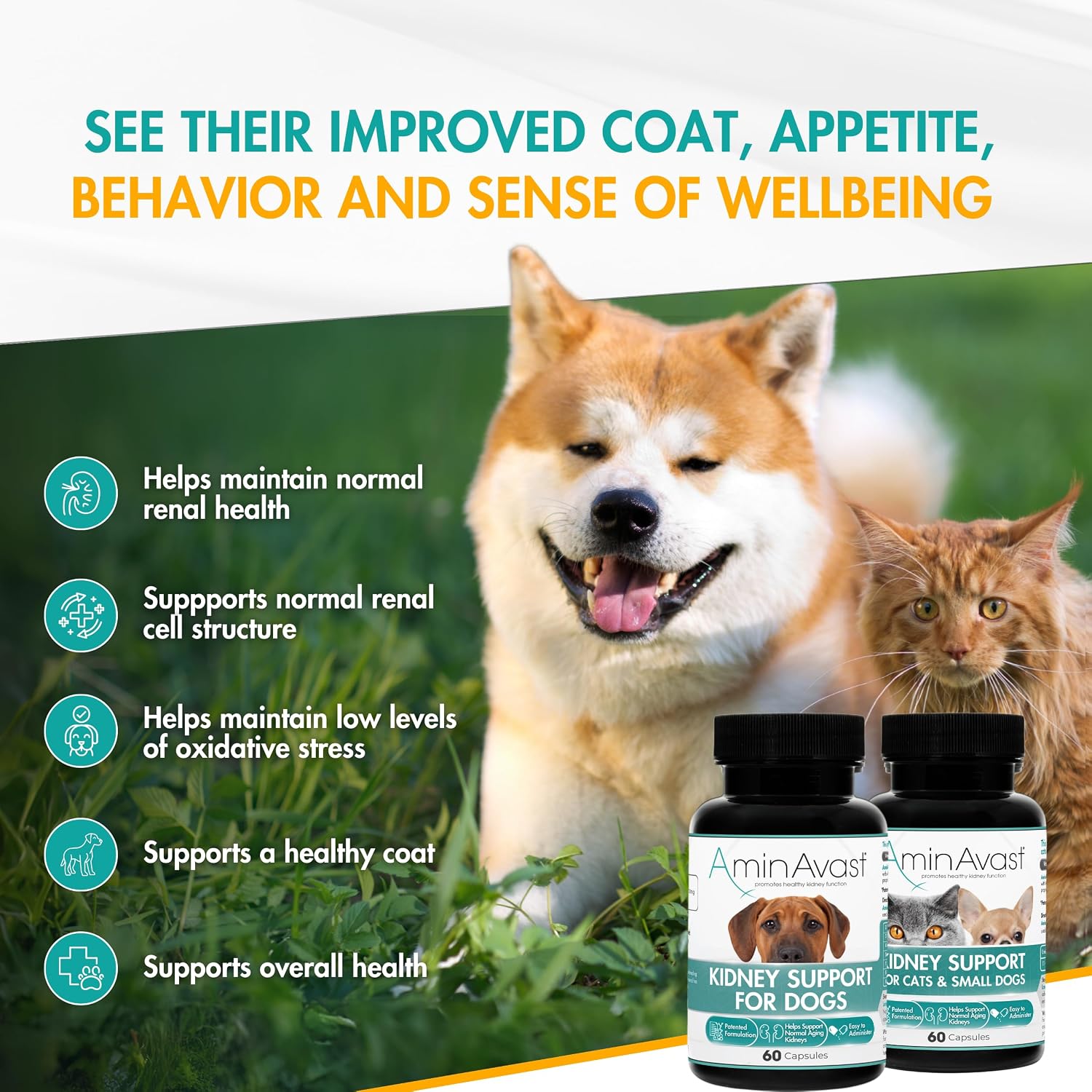 AminAvast Kidney Support - Suplemento para apoyo renal en perros (1000 mg, Pack de 3, 60 cápsulas)
