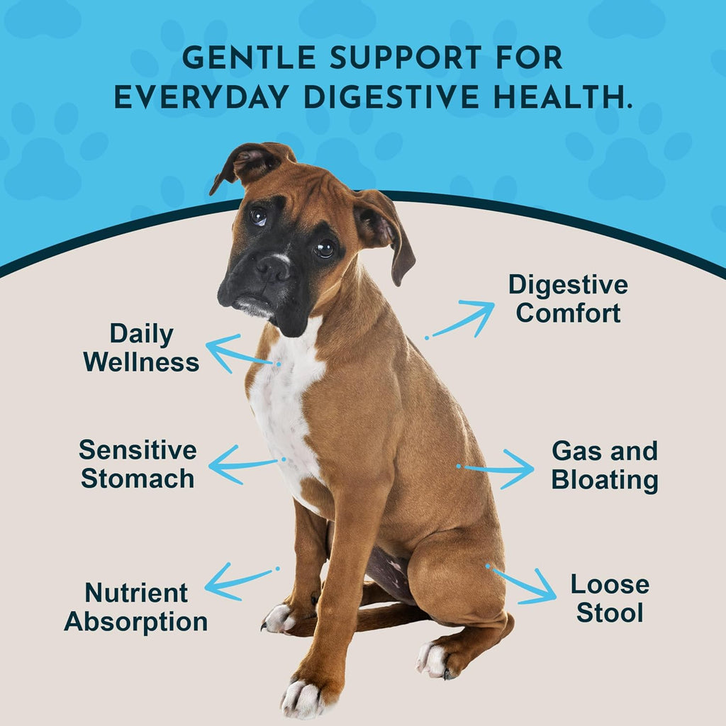 Daily Digestion 1 fl oz – Suplemento herbal para perros