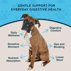 Daily Digestion 1 fl oz – Suplemento herbal para perros