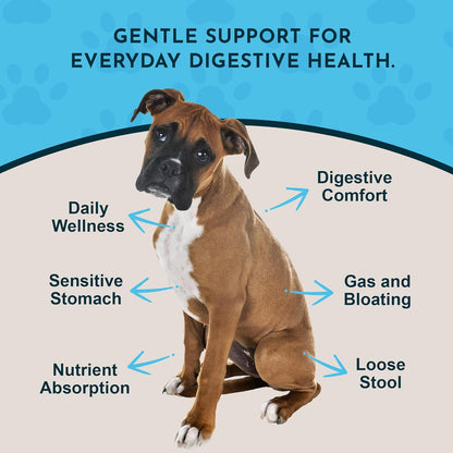 Daily Digestion 1 fl oz – Suplemento Herbal para Perros – Image 3