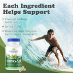 Ridgecrest Herbals KidneyAid - Suplemento de apoyo renal (60 cápsulas)