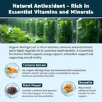Extracto de Hojas de Moringa Orgánico en Gotas (2 Unidades) - con Cúrcuma, Boswellia y Pimienta Negra, Vegano, Sin Azúcar, 30 ml