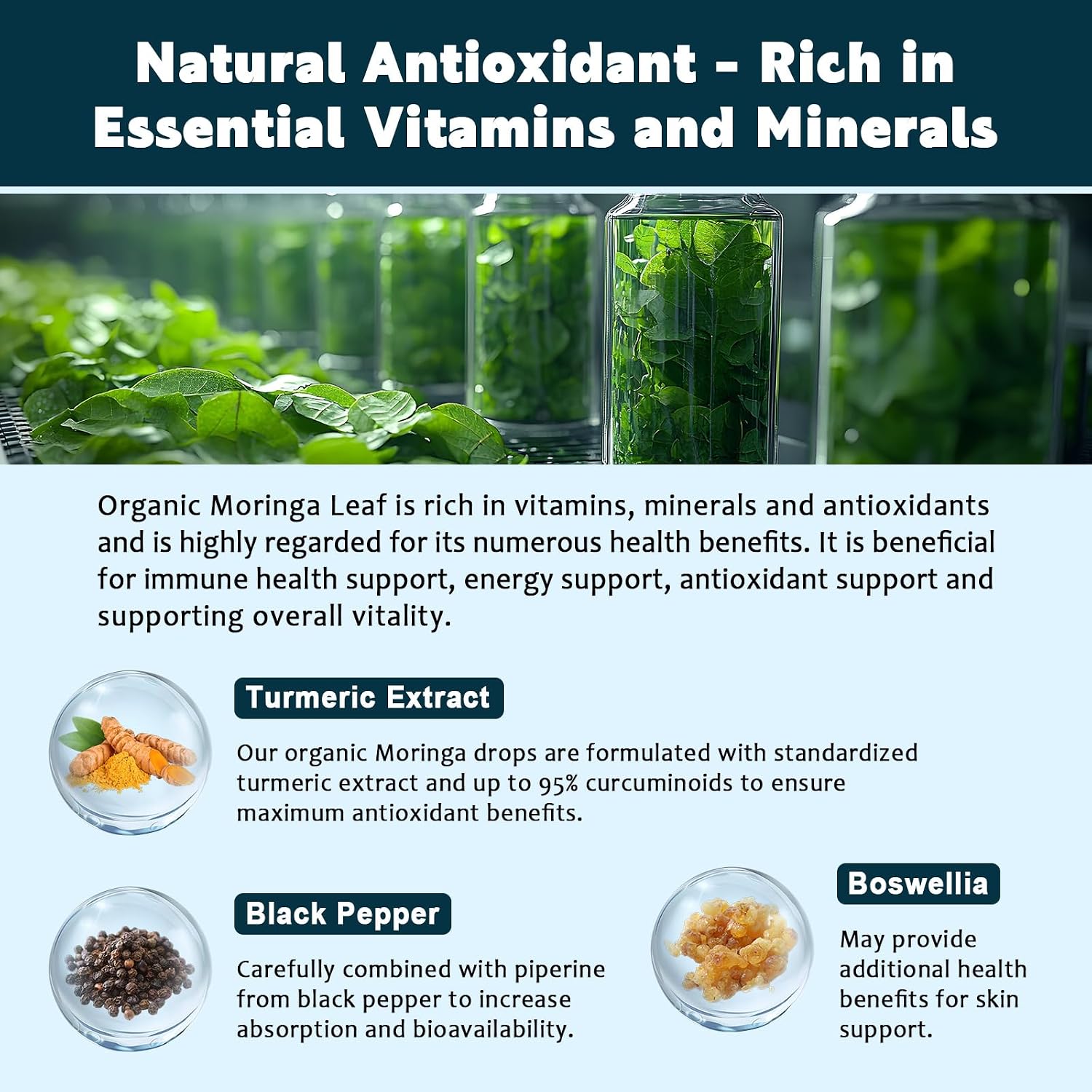 Extracto de Hojas de Moringa Orgánico en Gotas (2 Unidades) - con Cúrcuma, Boswellia y Pimienta Negra, Vegano, Sin Azúcar, 30 ml