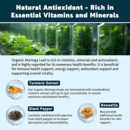 Extracto de Hojas de Moringa Orgánico en – Hierro: contribuye a la formación normal de glóbulos rojos y al – Image 5