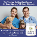 Wholistic Pet Organics Espirulina en Polvo para Perros y Gatos - 85 Dosis