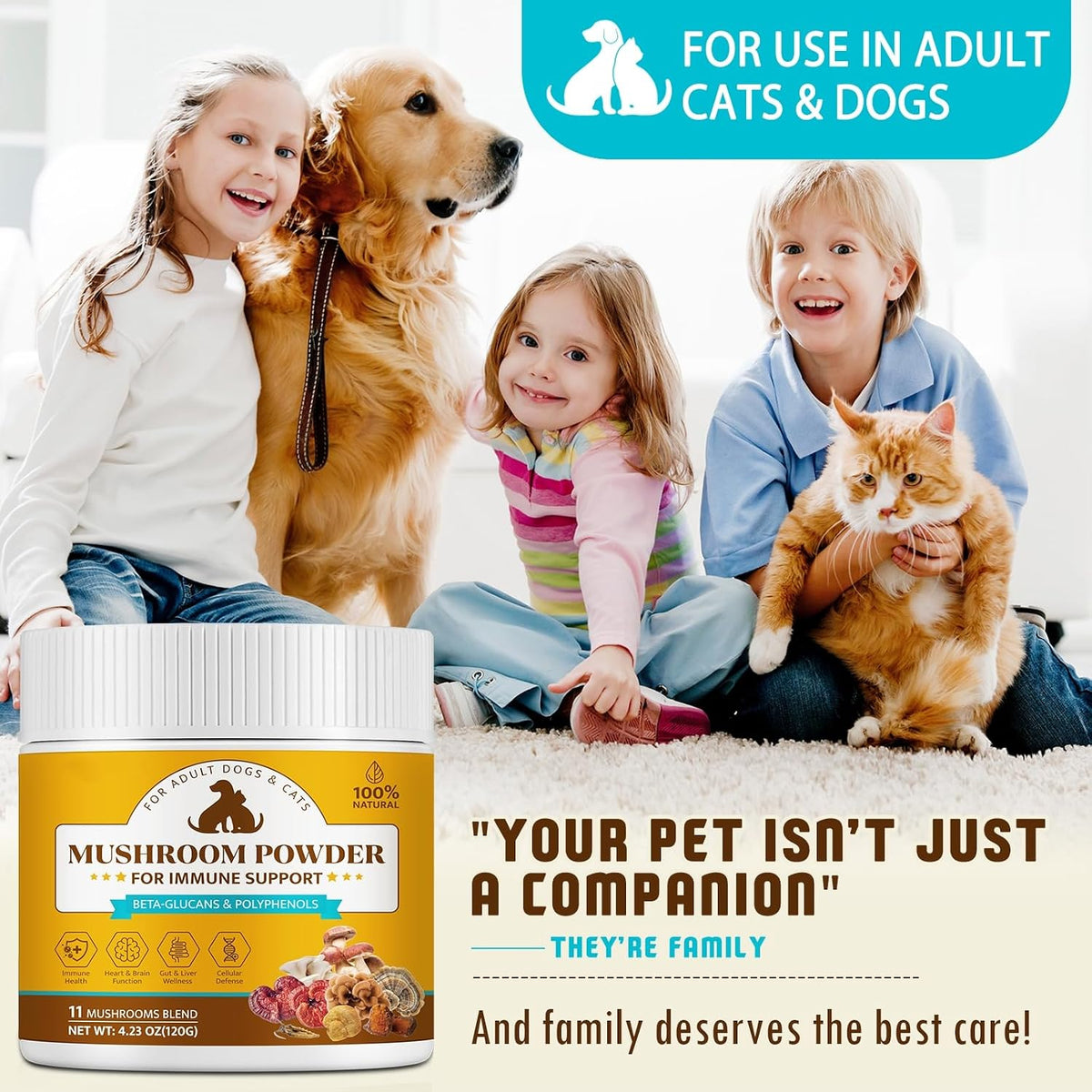 Organic Mushroom Supplement Powder for Dogs – Turkey Tail y Chaga : ricas en polisacáridos que pueden favorecer la – Image 7