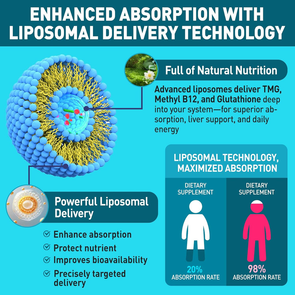 HOLLEGEND Liposomal TMG Suplemento Líquido, 1000mg Trimetilglicina como Betaína Anhidra, Alta Absorción, 60 ml
