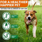 Cúrcuma (Turmeric) para Perros – 180 Comprimidos Sabor Pato – Fórmula Avanzada para Articulaciones con Piperina