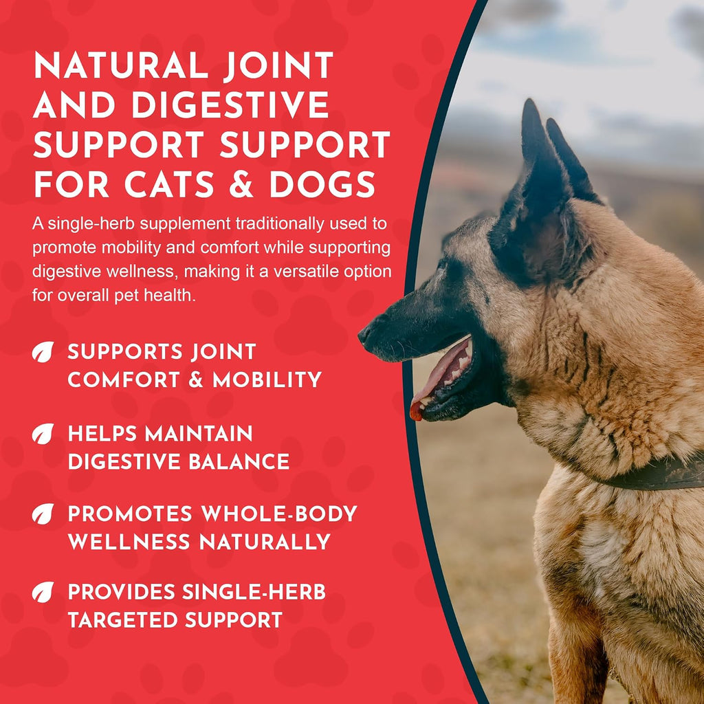 Yucca - Suplemento de Raíz de Yucca Orgánica para Articulaciones y Digestión en Perros y Gatos, Gotas Herbales Líquidas - 30 ml