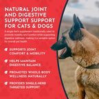Yucca - Suplemento de Raíz de Yucca Orgánica para Articulaciones y Digestión en Perros y Gatos, Gotas Herbales Líquidas - 30 ml