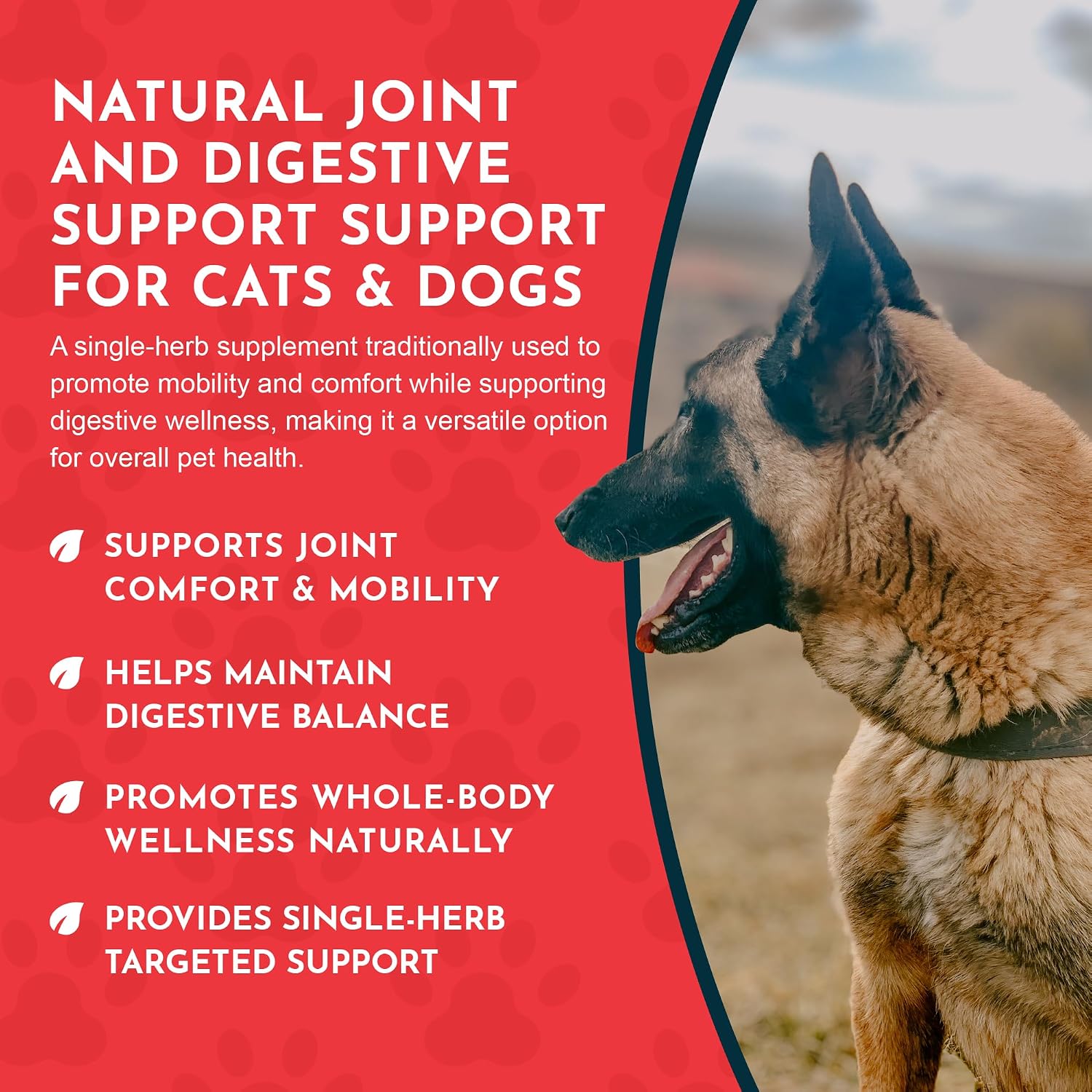 Yucca - Suplemento de Raíz de Yucca Orgánica para Articulaciones y Digestión en Perros y Gatos, Gotas Herbales Líquidas - 30 ml