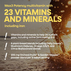 Nature's Way Alive! High Potency Daily Multivitamin with Iron, 90 Tablets