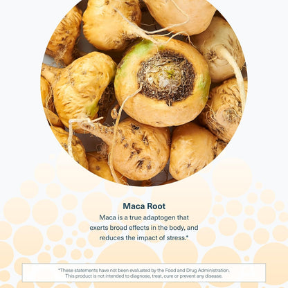 Youtheory Maca Raíz para Mujeres - 120 Cápsulas Veganas (Suministro para 60 Días) – Image 5