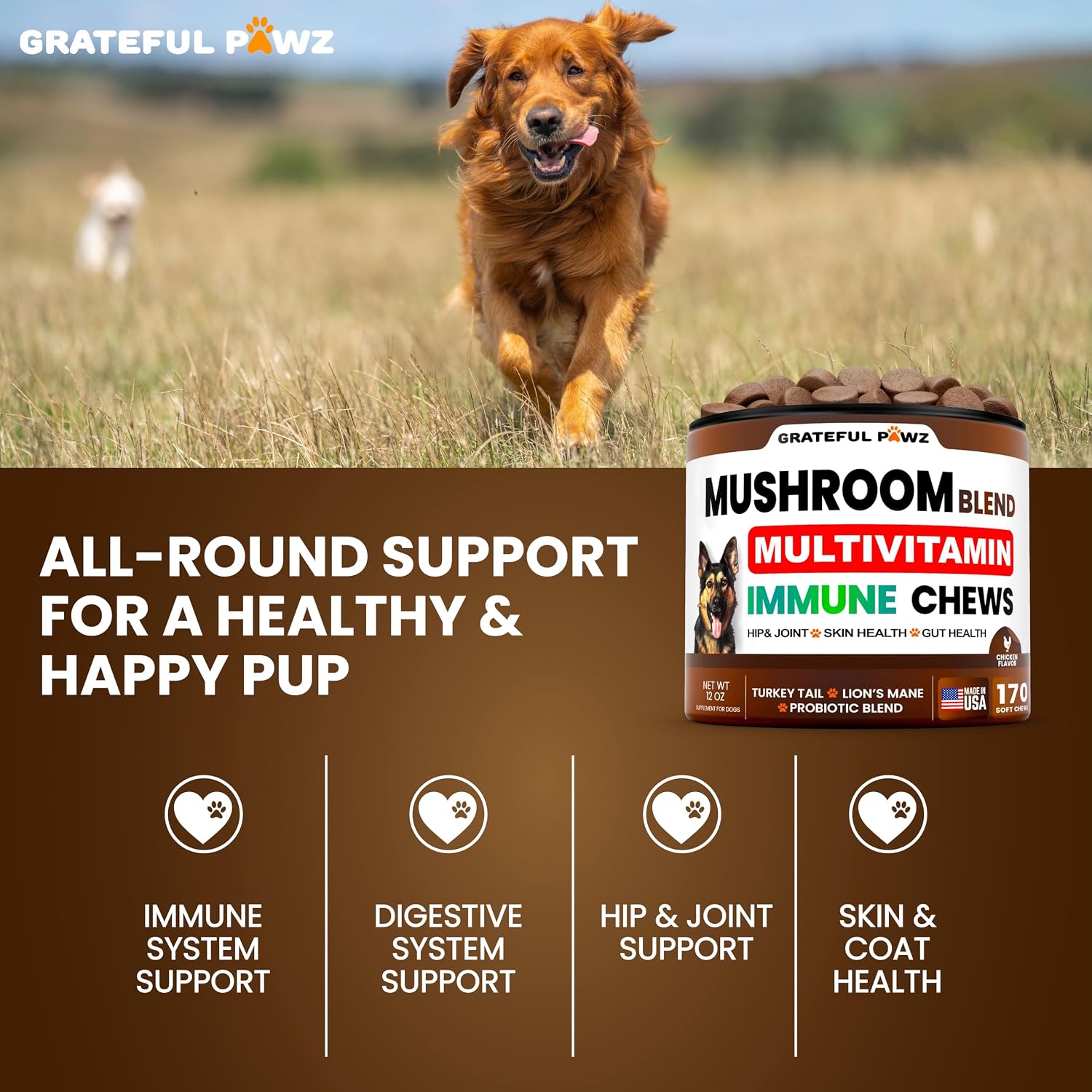 Suplemento de Hongo Cola de Pavo para Perros – 170 Chewables – Multivitamínico con Hongos, Glucosamina y Probióticos