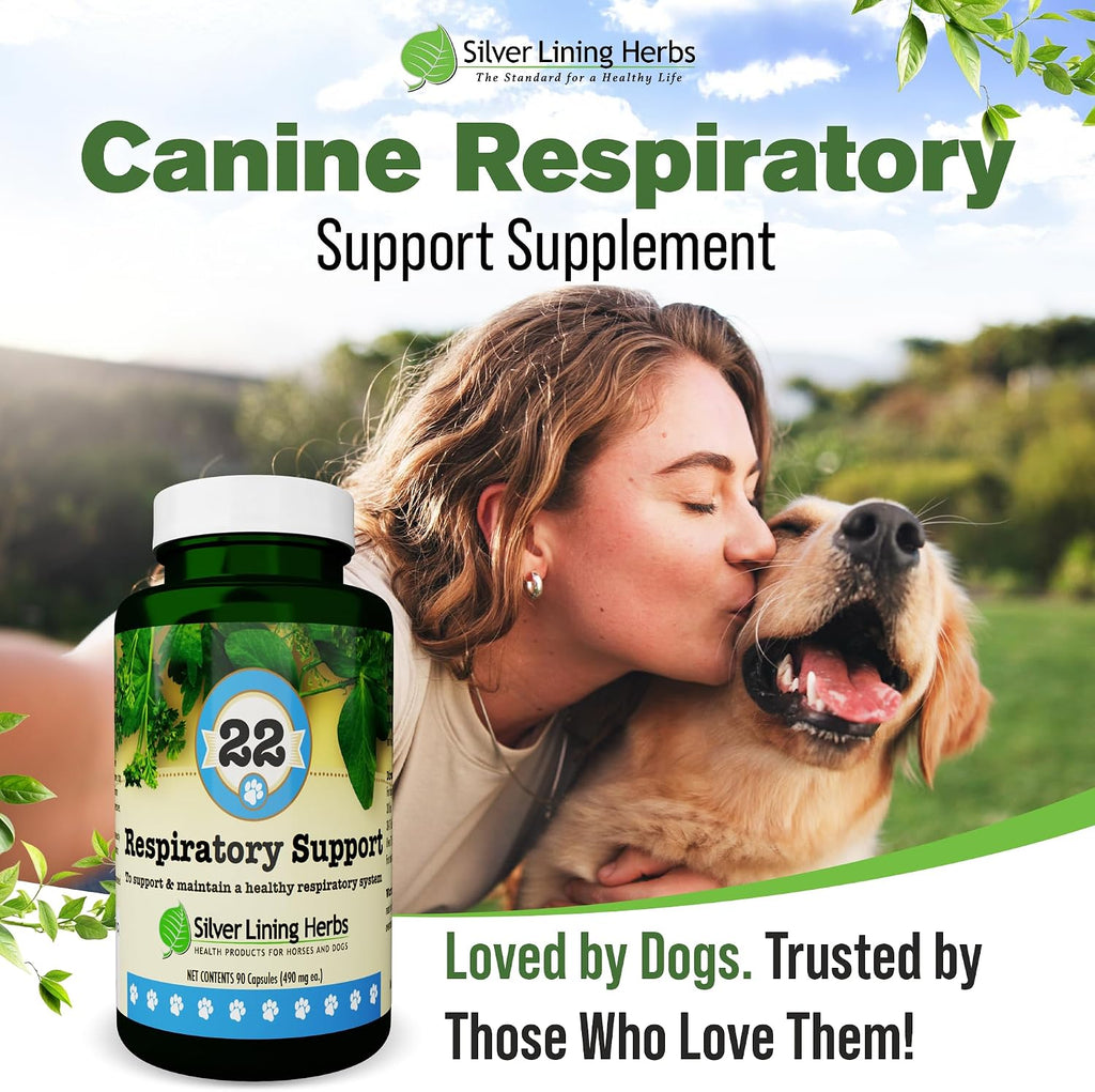 Respiratory Support for Dogs - Herbal Blend with Mullein, Ginger, Boswellia, and Yerba Santa - 90 Capsules