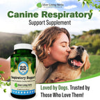Respiratory Support for Dogs - Herbal Blend with Mullein, Ginger, Boswellia, and Yerba Santa - 90 Capsules