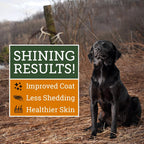 DogBone Omega 3 Fish Oil for Dogs - EPA + DHA Supplement for Hip & Joint, Heart, Skin Support - Omega 6 Fatty Acids - Help Hunting Dog Recovery - Improve Puppy, Senior Canine Health - 946ml Pump Bottle