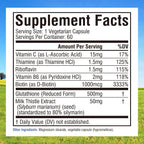 Innate Vitality Glutatión 500mg con Cardo Mariano, Vitamina C y Complejo B - 60 Cápsulas