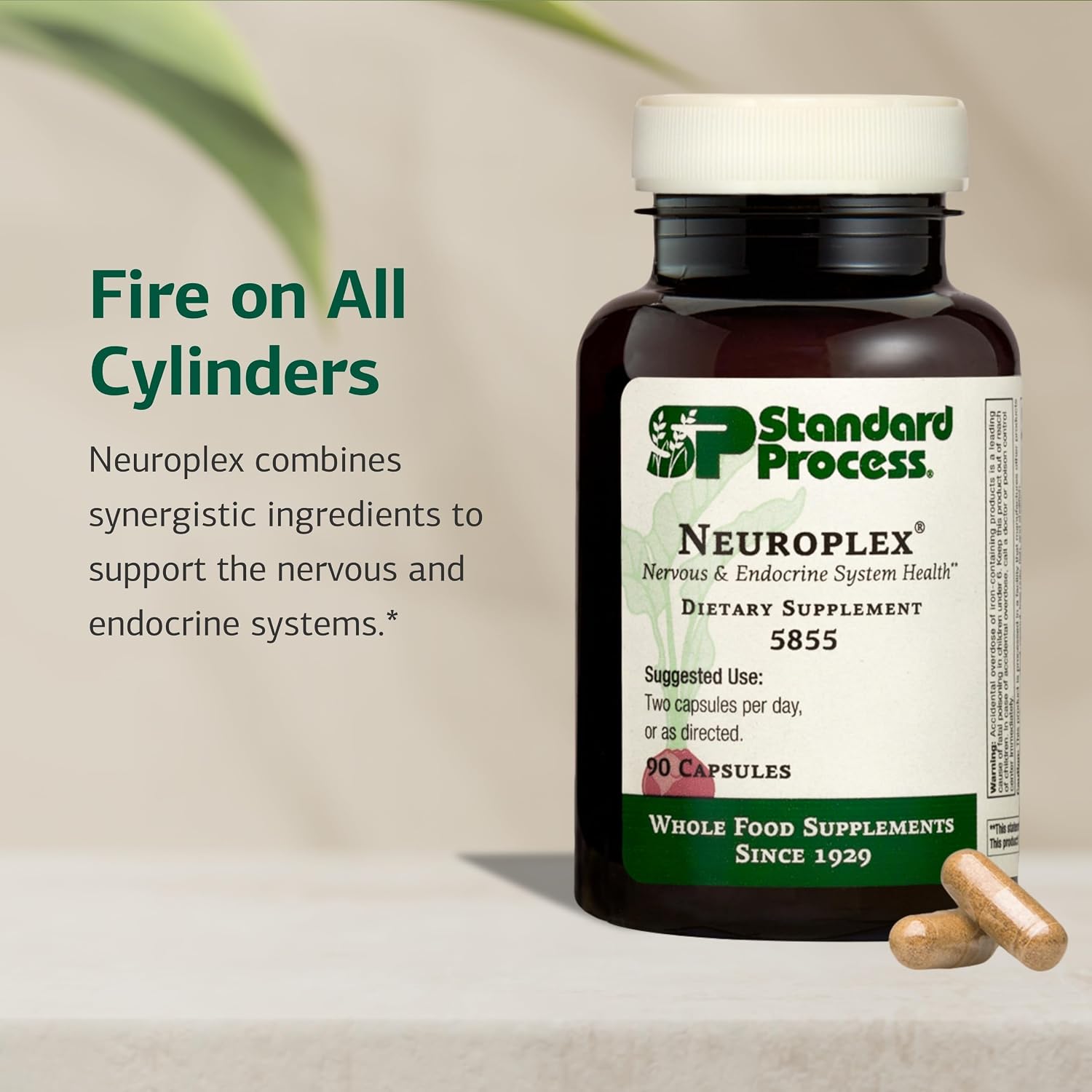 Standard Process Neuroplex - Apoyo para los Sistemas Nervioso y Endocrino - 90 Cápsulas
