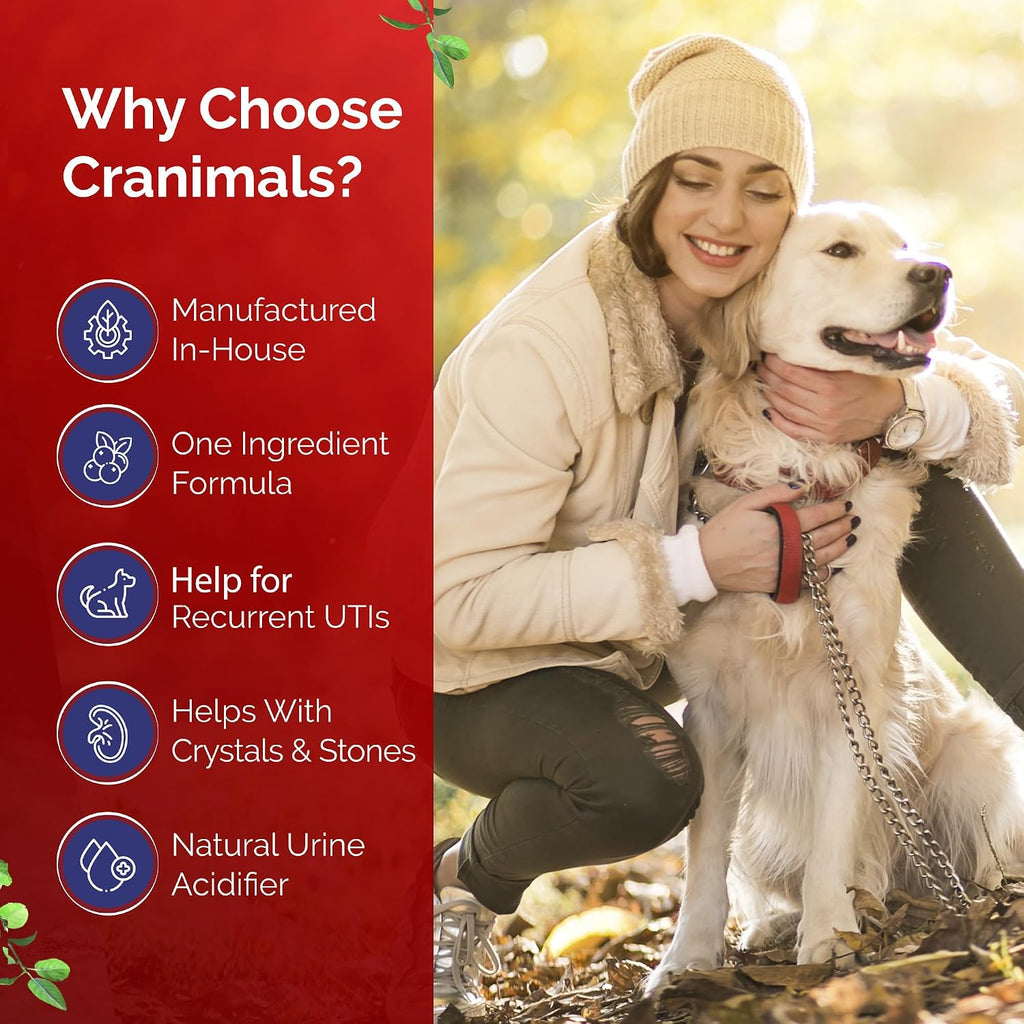 Cranimals Suplemento Orgánico de Arándano para Perros y Gatos - 60g (2000mg por dosis)