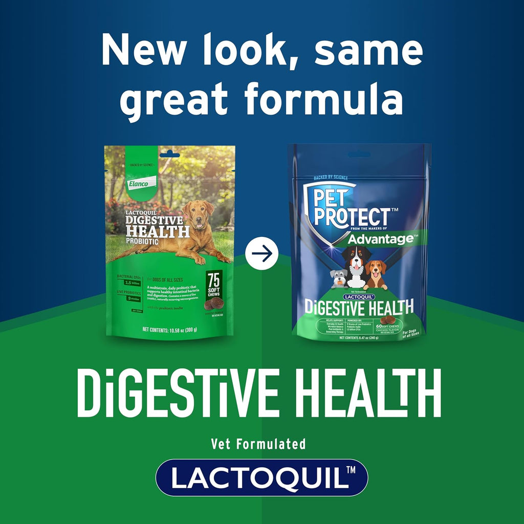 Suplemento para la Salud Digestiva con Probióticos para Perros, Lactoquil formulado por veterinarios, Golosinas blandas sabor a pollo (60 unidades)
