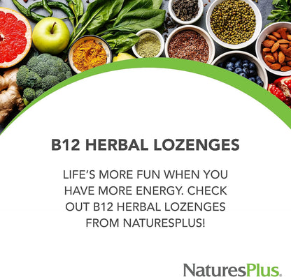 NaturesPlus Vitamina B12 1000 mcg - 30 – El metabolismo energético normal. – Image 3