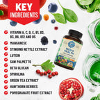 Whole World Wellness Multivitamínico Diario para Hombres - 30+ Nutrientes, Energía y Rendimiento