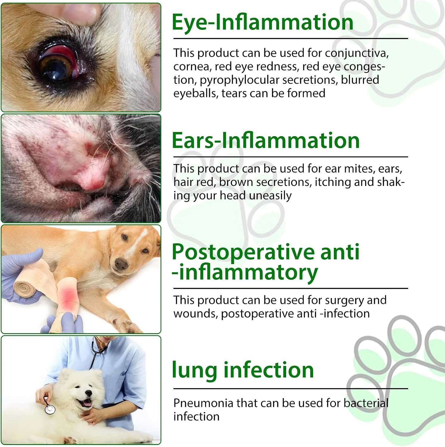 Antibióticos Naturales para Perros - Suplemento para Alergias y Picores con Vinagre de Manzana, Ajo, Pau D'Arco y Sello de Oro - Sabor a Bacon - 2 x 60ml