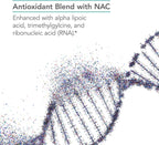 NutriCology NAC Enhanced - N-Acetil-L-Cisteína - Apoyo Antioxidante e Inmunológico - 90 Comprimidos