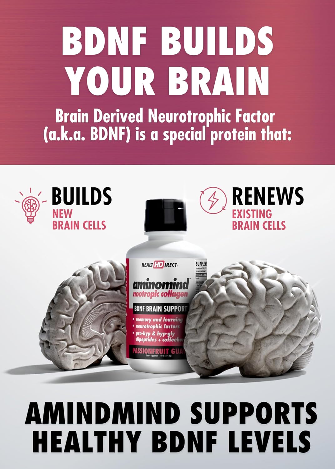 HEALTH DIRECT - AminoMind - Suplemento Nootrópico de Colágeno para la Salud Cerebral y BDNF - Dipéptidos Pro-Hyp e Hyp-Gly, Antioxidantes Coffeeberry - Maracuyá Guayaba - 414 ml (28 Dosis)