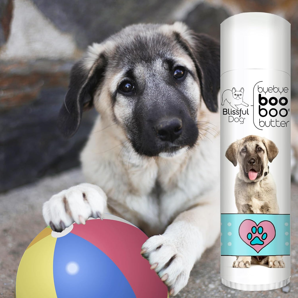 The Blissful Dog Boo Boo Butter para Pastor de Anatolia – 0.50 oz (14 g)