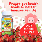 Clear Buddy Probióticos para Niños de 2 a 6 Años – Gominolas Orgánicas USDA con DE111 (2.5B UFC) – Apoyo Inmunitario y Digestivo – Sabor Fresa – 30 Días
