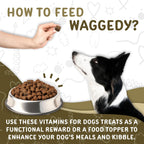 waggedy Daily Essentials Adult Soft Chews - Multivitamínico para Perros (120 Chews Blandos)