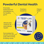 TEEF FOR LIFE Protektin42 Polvo Dental Prebiótico para Perros - 90 Dosis (3 Paquetes)