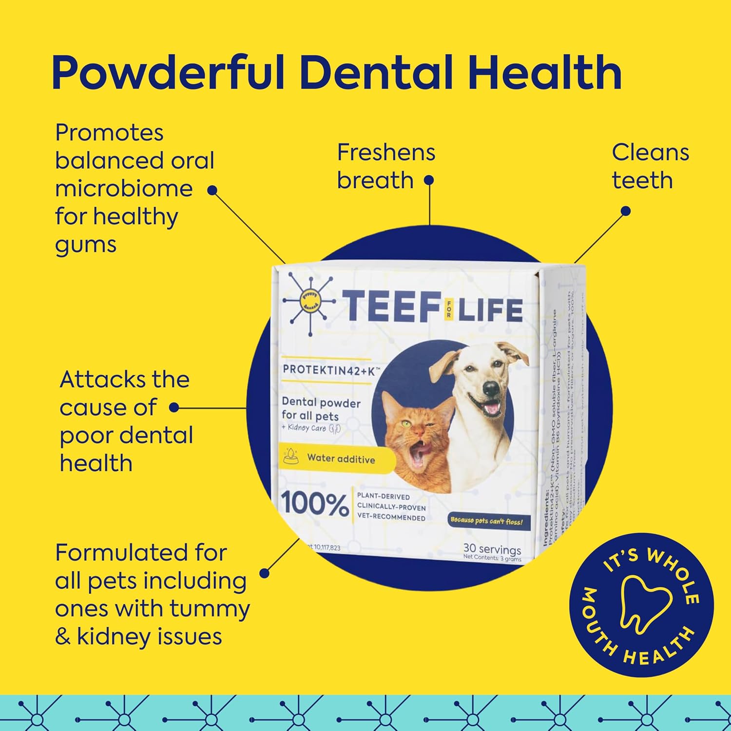 TEEF FOR LIFE Protektin42 Polvo Dental Prebiótico para Perros - 90 Dosis (3 Paquetes)