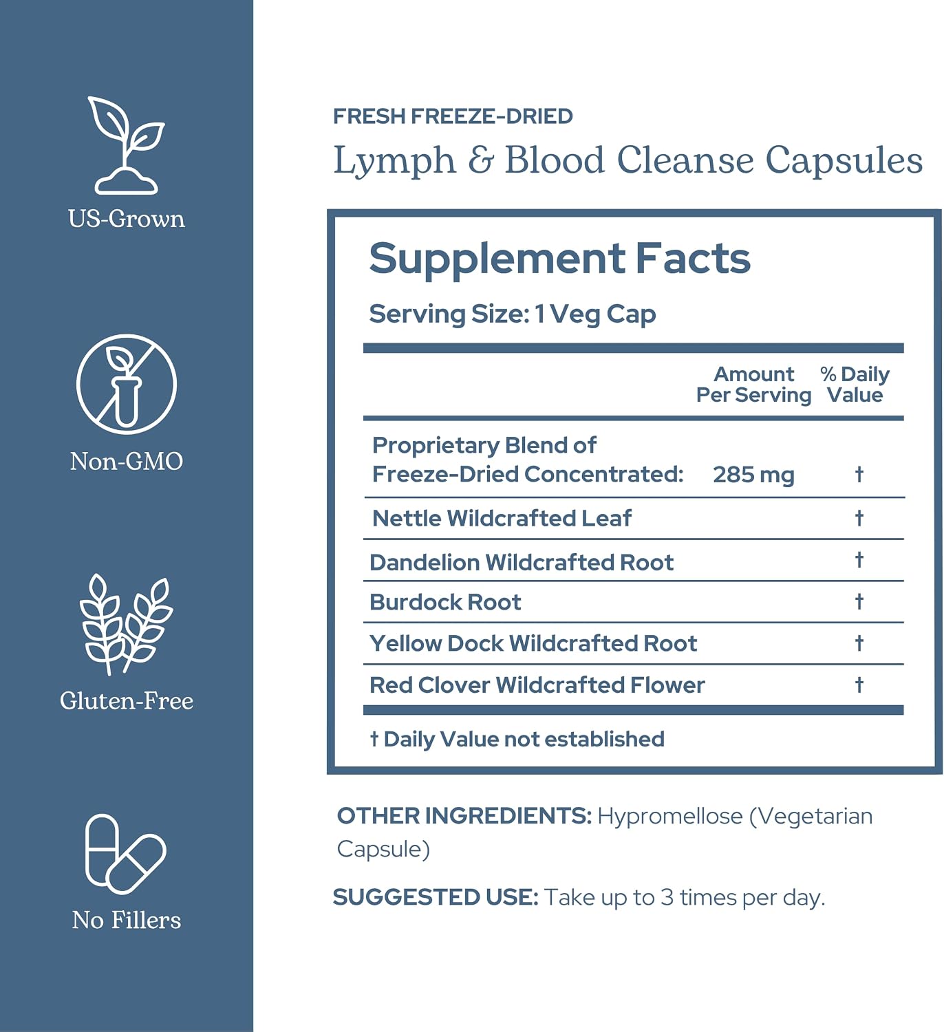 Eclectic Herb - Lymph & Blood Cleanse Cápsulas | Apoyo Linfático y Circulatorio | 45 cápsulas (285 mg)