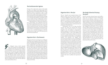 Saint Hildegard’s Guide to Wellness: Herbalism, Nutrition, and Health Advice from a Trailblazing Medieval Nun – Image 4