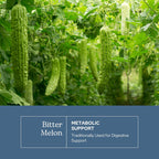 Eclectic Herb - Melón Amargo en Cápsulas (90 cápsulas, 200 mg)
