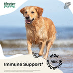 Gotas de Reishi para Perros - Forever Puppy - Apoyo Inmunológico - Sin Azúcar ni Alcohol - 60 ml