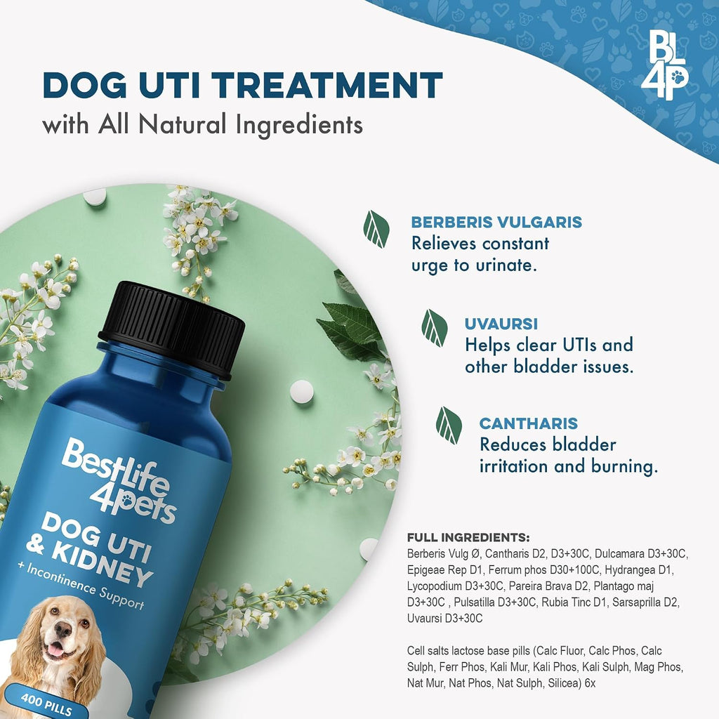 Fórmula para el Tratamiento de ITU y Salud Renal en Perros – Suplemento Urinario Natural – 400 Comprimidos Pequeños