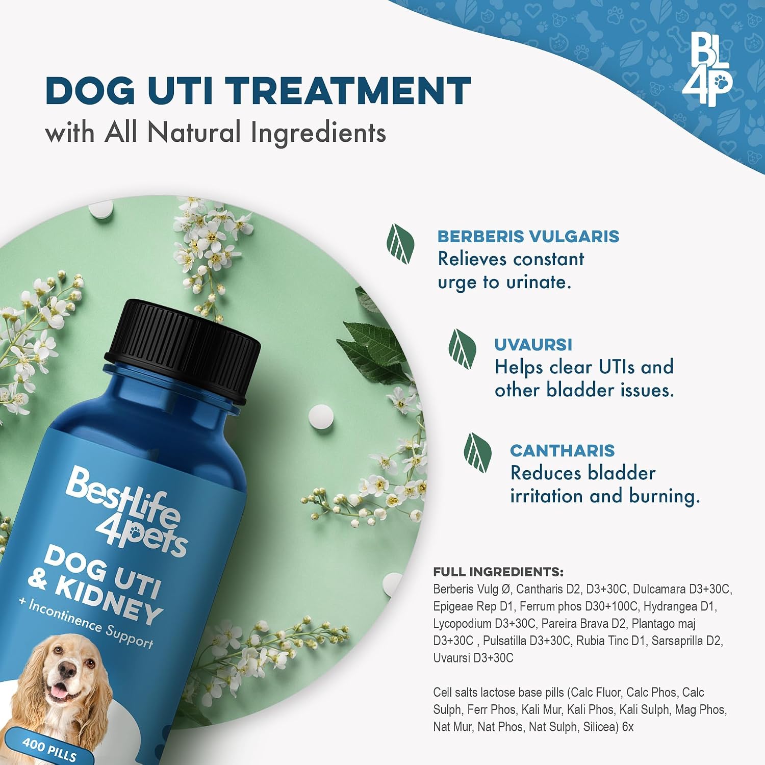 Fórmula para el Tratamiento de ITU y Salud Renal en Perros – Suplemento Urinario Natural – 400 Comprimidos Pequeños