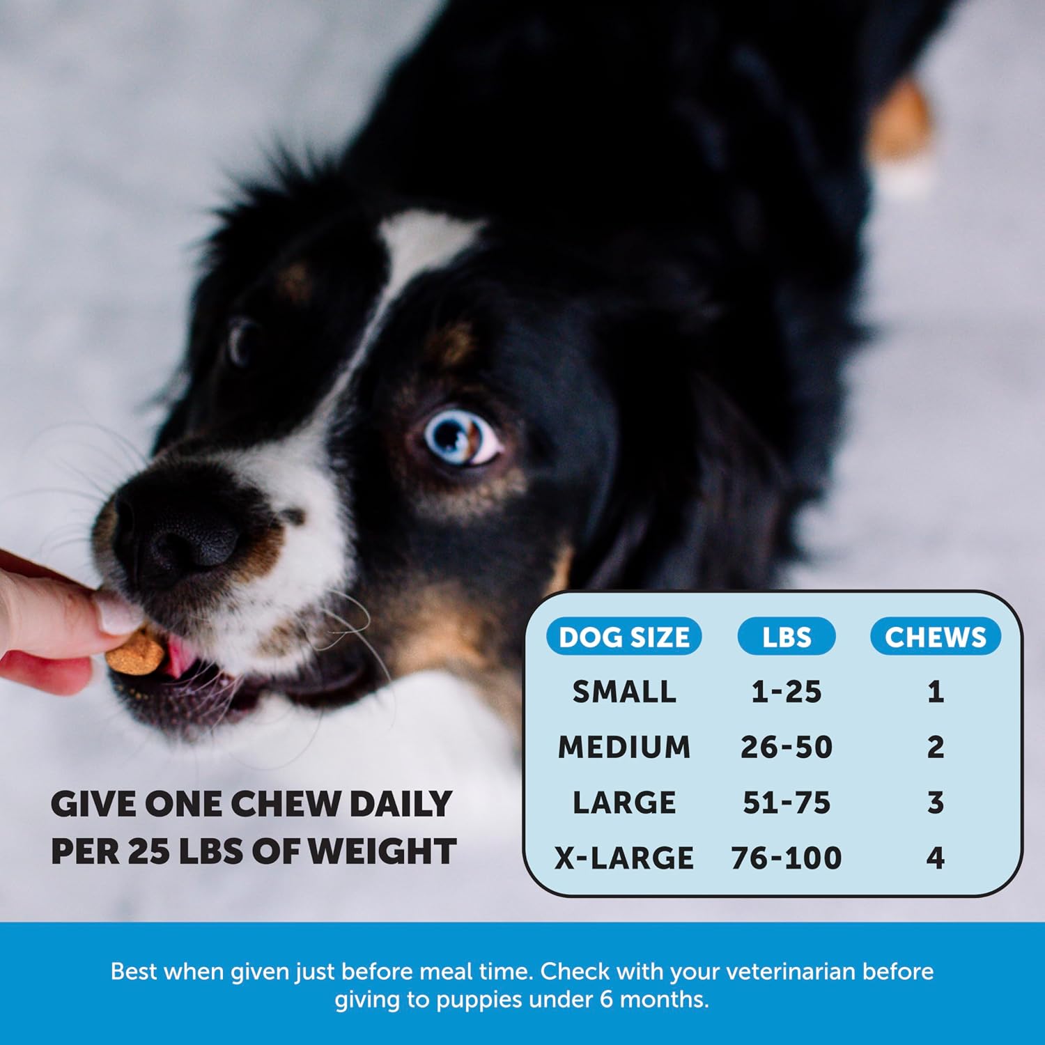 Pet Honesty Masticables de Aceite de Salmón Salvaje de Alaska para Perros - Suplemento Omega 3 para Piel y Pelaje