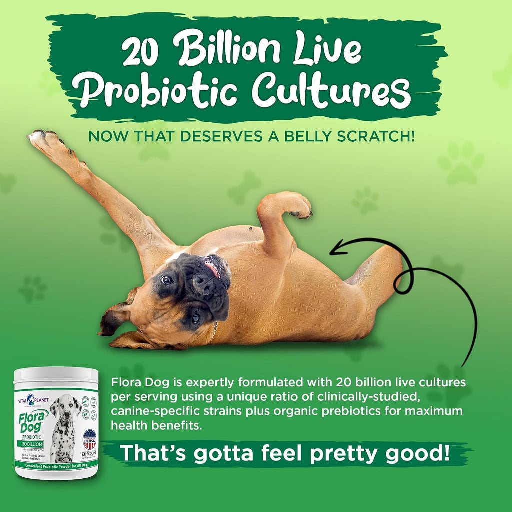 Probióticos para perros Flora Dog – Polvo con 20 mil millones de UFC y 10 cepas – Vital Planet