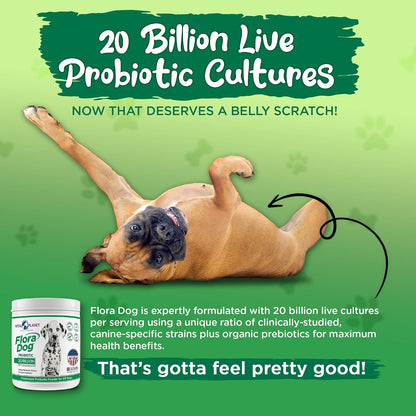 Probióticos para perros Flora Dog – Polvo – Número de UFC: Una dosis elevada (como los 20 mil millones de Flora – Image 5