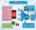 Vision Smart Supreme - Suplemento ocular superior con antocianinas de grosella negra (210mg)