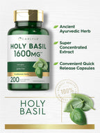 Carlyle Cápsulas de Albahaca Santa (Tulsi) | 200 Unidades | Extracto de Hoja de Tulsi | Suplemento Herbal | No-GMO, Sin Gluten