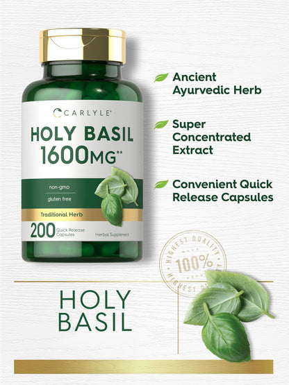 Carlyle Cápsulas de Albahaca Santa (Tulsi) | 200 Unidades | Extracto de Hoja de Tulsi | Suplemento Herbal | No-GMO, Sin – Image 3